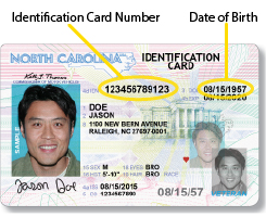 suspended drivers license check